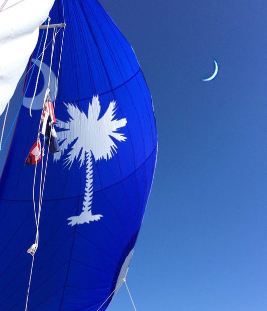 Blue palmetto spinnaker