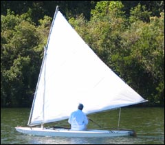 white sunfish sails